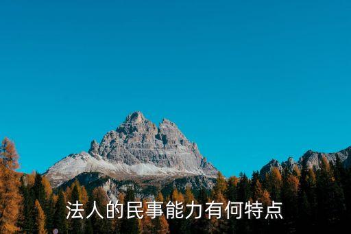 法人的民事能力有何特點(diǎn)