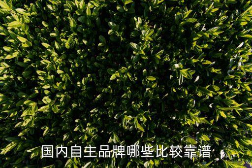 國內(nèi)自主品牌哪些比較靠譜