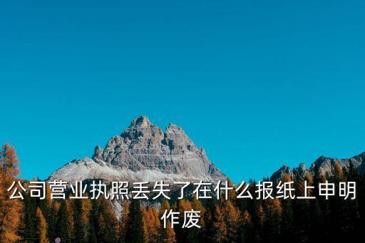 營業(yè)執(zhí)照作廢聲明，怎么查看公示系統(tǒng)營業(yè)執(zhí)照作廢聲明