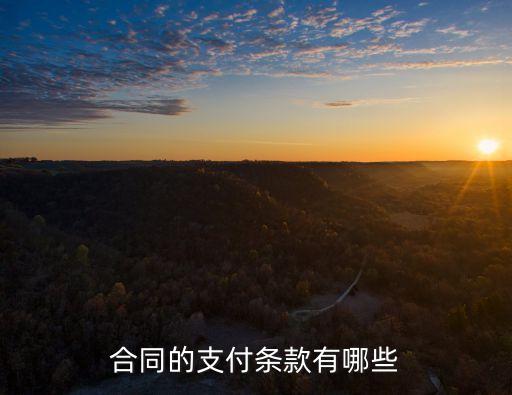 支付條款，流動(dòng)資金借款合同中的支付條款包括哪些內(nèi)容