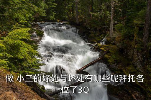 職業(yè)小三