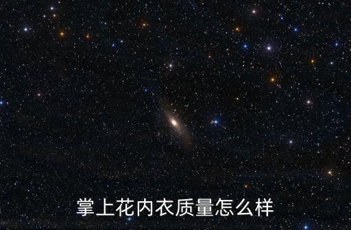 掌上花內(nèi)衣質(zhì)量怎么樣