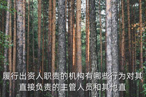 出資人職責(zé)，履行出資人職責(zé)的機(jī)構(gòu)享有哪些權(quán)利