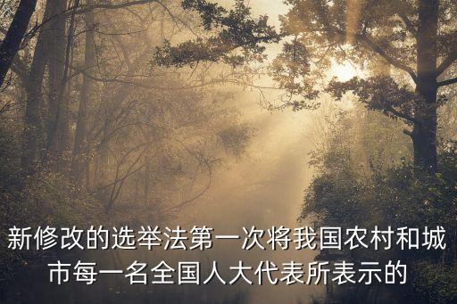 選舉法，我國選舉法是根據(jù)什么制定的