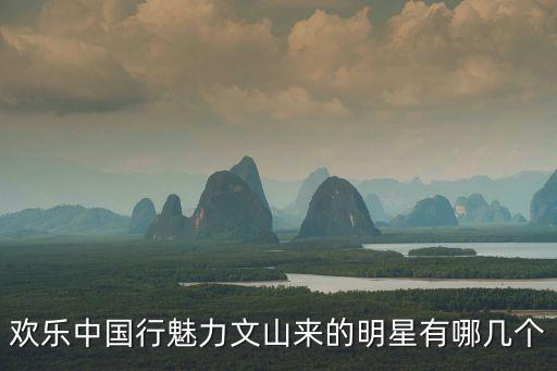 歡樂中國行魅力文山來的明星有哪幾個