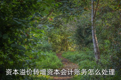 資本溢價轉(zhuǎn)增資本會計賬務(wù)怎么處理