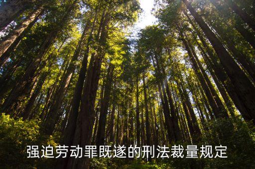 強(qiáng)迫勞動(dòng)，強(qiáng)迫勞動(dòng)罪立案標(biāo)準(zhǔn)是什么