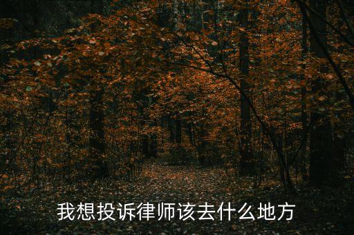 我想投訴律師該去什么地方
