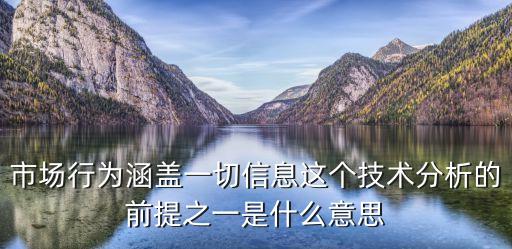 市場行為涵蓋一切信息這個技術(shù)分析的前提之一是什么意思