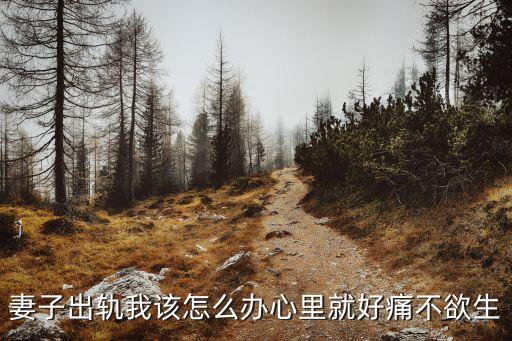 妻子出軌我該怎么辦心里就好痛不欲生