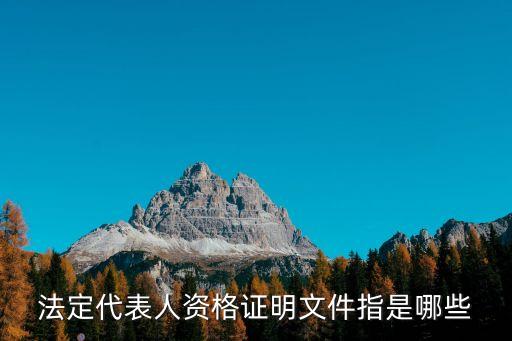 法定代表人資格證明文件指是哪些