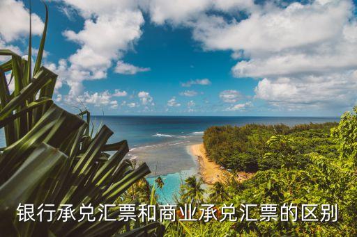 銀行承兌匯票和商業(yè)承兌匯票的區(qū)別，銀行承兌匯票和商業(yè)承兌匯票的區(qū)別