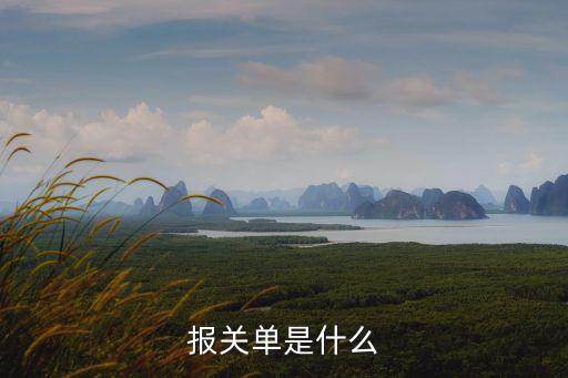 報關(guān)單，報關(guān)單的性質(zhì)是什么