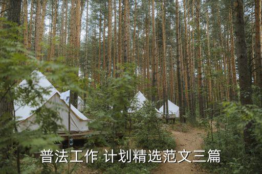 法律工作計(jì)劃,法律專業(yè)委員會(huì)工作計(jì)劃