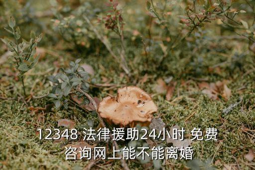 12348 法律援助24小時(shí) 免費(fèi) 咨詢網(wǎng)上能不能離婚