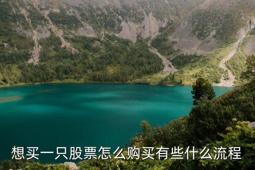 想買一只股票怎么購買有些什么流程