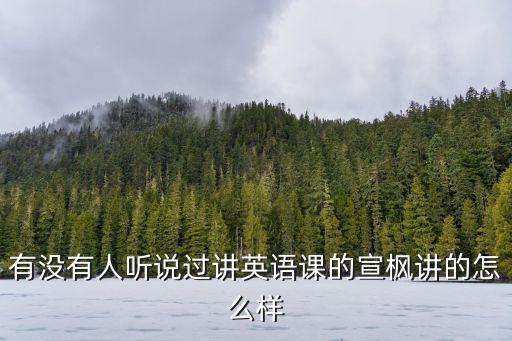 有沒有人聽說過講英語課的宣楓講的怎么樣