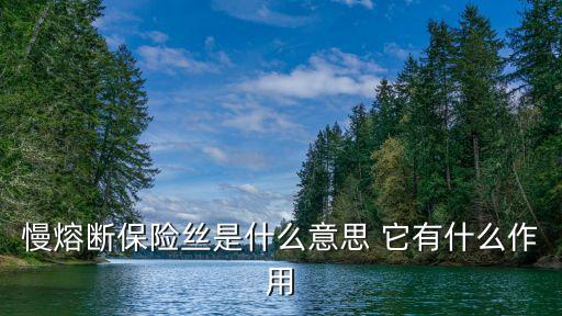 慢熔斷保險絲是什么意思 它有什么作用