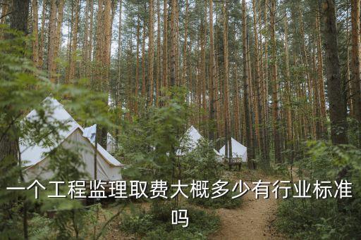 一個工程監(jiān)理取費(fèi)大概多少有行業(yè)標(biāo)準(zhǔn)嗎