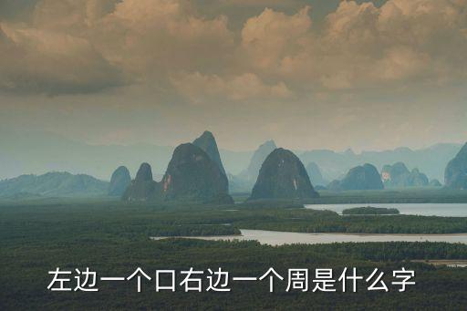 左邊一個(gè)口右邊一個(gè)周是什么字