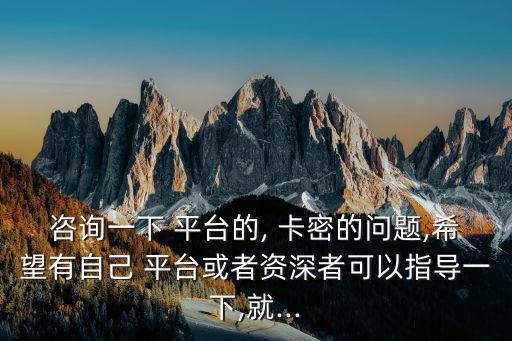 咨詢一下 平臺(tái)的, 卡密的問題,希望有自己 平臺(tái)或者資深者可以指導(dǎo)一下,就...