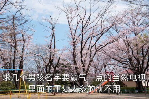 周元強(qiáng)，求幾個(gè)男孩名字要霸氣一點(diǎn)的當(dāng)然電視里面的重復(fù)太多的就不用