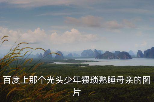 百度上那個(gè)光頭少年猥瑣熟睡母親的圖片