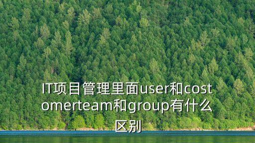 IT項目管理里面user和costomerteam和group有什么區(qū)別