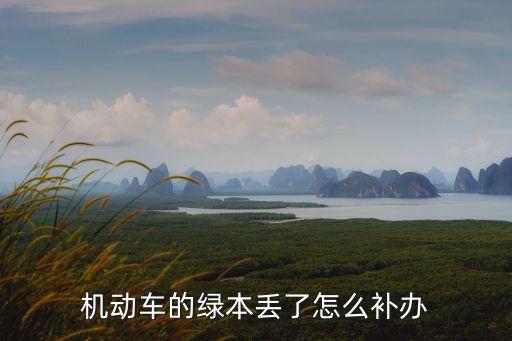大綠本丟了怎么補，汽車大綠本丟失了怎么補辦啊