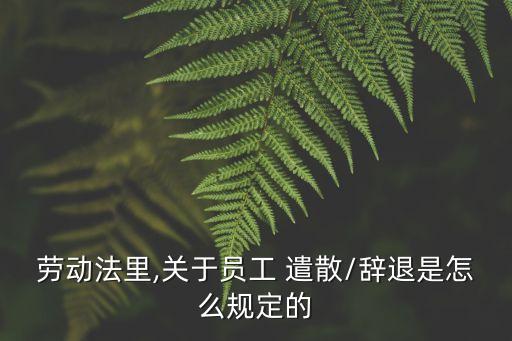 勞動(dòng)法里,關(guān)于員工 遣散/辭退是怎么規(guī)定的