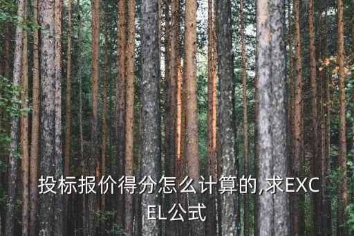 投標(biāo)評分標(biāo)準(zhǔn)及評分細(xì)則表格,招投標(biāo)三種評標(biāo)辦法
