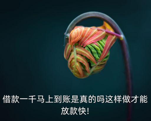 借1000元必下款