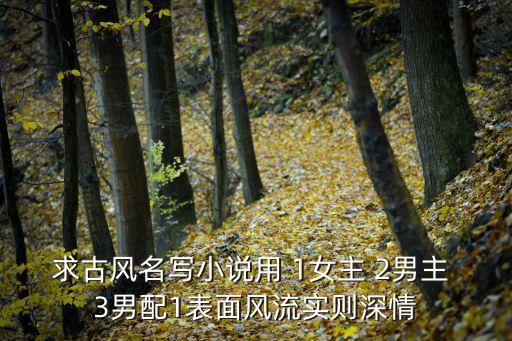 求古風(fēng)名寫(xiě)小說(shuō)用 1女主 2男主 3男配1表面風(fēng)流實(shí)則深情