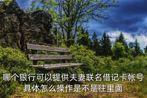 哪個(gè)銀行可以提供夫妻聯(lián)名借記卡帳號(hào)具體怎么操作是不是往里面