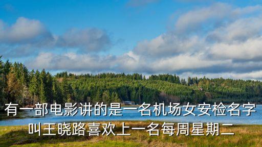 有一部電影講的是一名機(jī)場(chǎng)女安檢名字叫王曉路喜歡上一名每周星期二