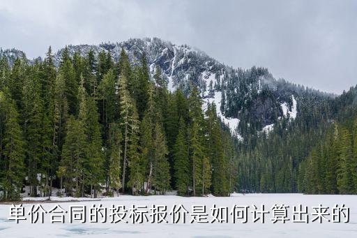 投標(biāo)價(jià)格，招標(biāo)工程價(jià)投標(biāo)工程價(jià)和竣工工程價(jià)分別指什么
