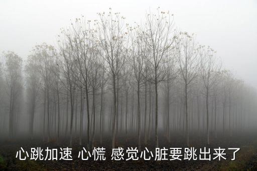心跳加速 心慌 感覺(jué)心臟要跳出來(lái)了