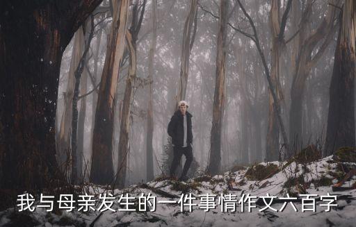 我與母親發(fā)生的一件事情作文六百字