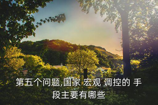 第五個(gè)問題,國家 宏觀 調(diào)控的 手段主要有哪些