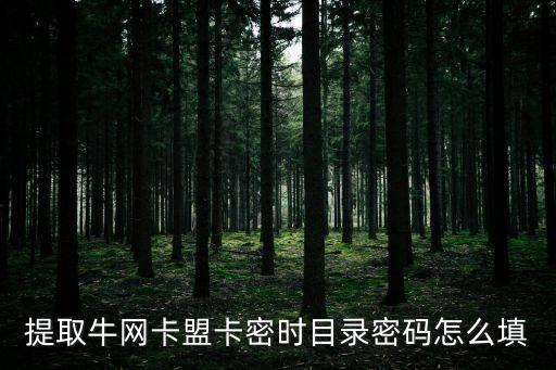 牛網(wǎng)卡盟，牛網(wǎng)卡盟上級(jí)編號(hào)是