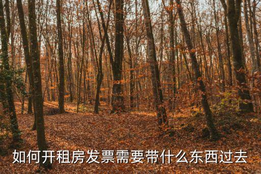 房租發(fā)票，請問房屋租金發(fā)票是指什么我去稅務(wù)辦理更換地址需要這個的原件