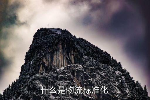 物流標(biāo)準(zhǔn)化，什么是物流標(biāo)準(zhǔn)化