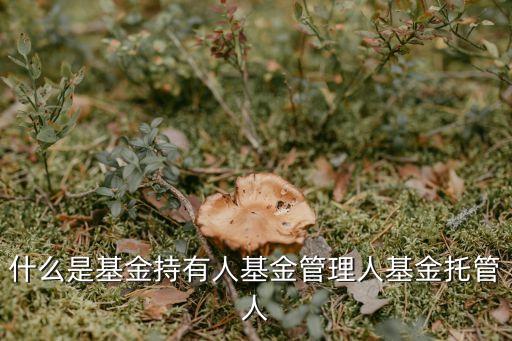 什么是基金持有人基金管理人基金托管人