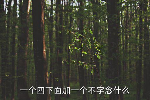 四加不，一個四下面加一個不字念什么