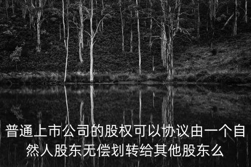 普通上市公司的股權(quán)可以協(xié)議由一個自然人股東無償劃轉(zhuǎn)給其他股東么