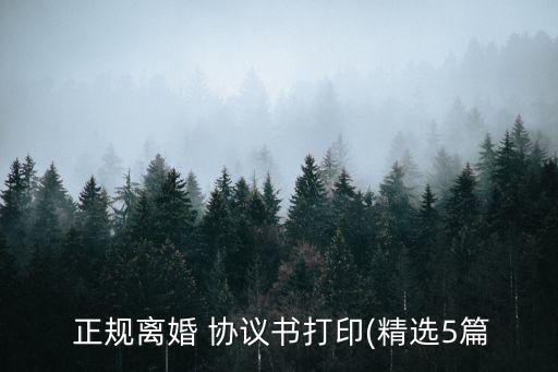  正規(guī)離婚 協(xié)議書打印(精選5篇