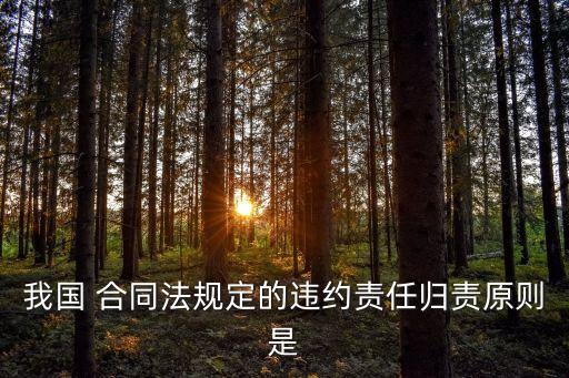 常務(wù)法律看合同的職責是什么