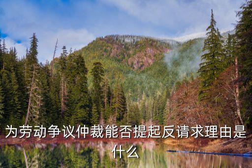 為勞動爭議仲裁能否提起反請求理由是什么