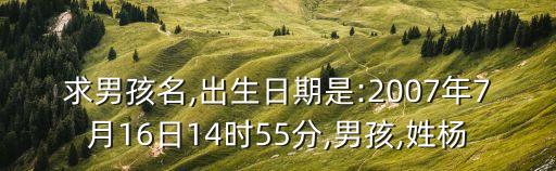 楊學(xué)斌