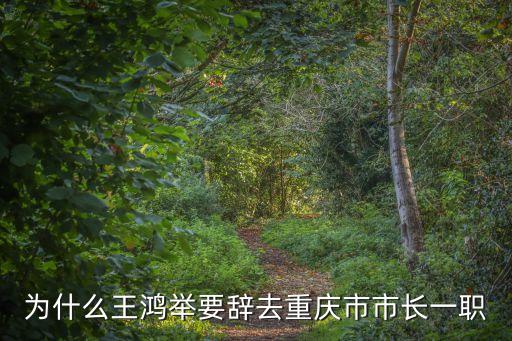 王鴻舉，王鴻舉此名多少分